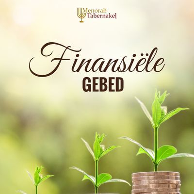 (PDF) Finansiële Gebed - Amelia Weideman
