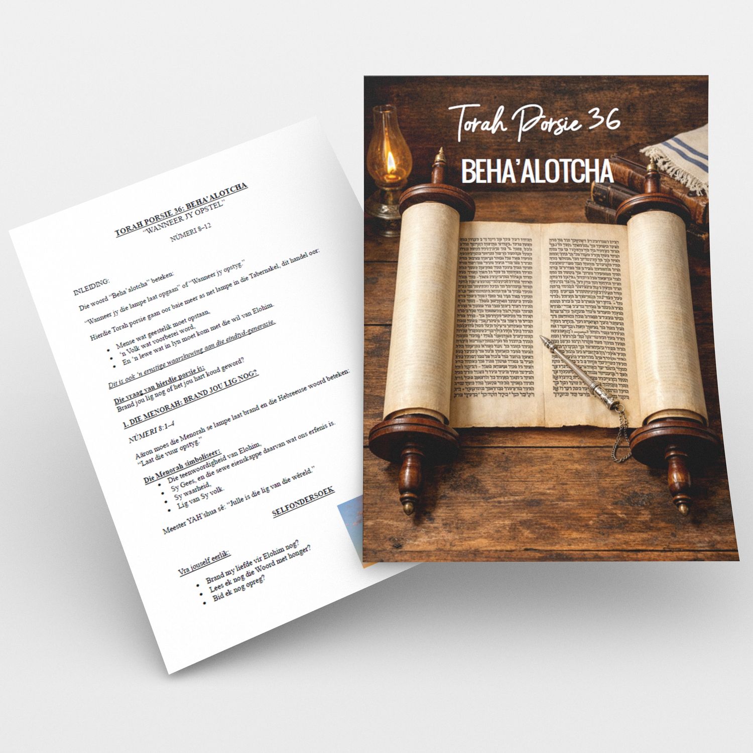 (PDF) Torah Porsie 36 StudieGids - Past. Frik Weideman