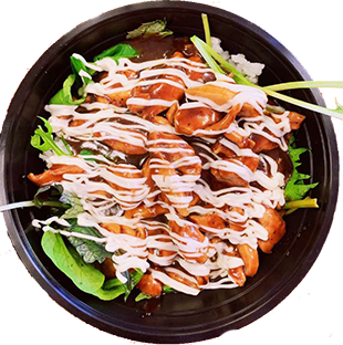 Teriyaki chicken donburi