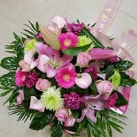 Coussin ton mauve rose