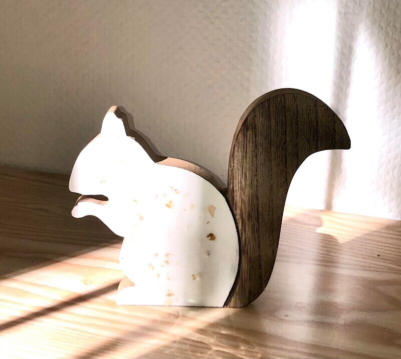 Ecureuil à poser