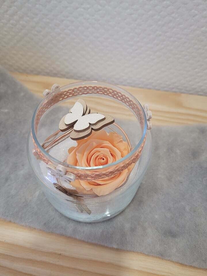 Rose éternelle saumon
