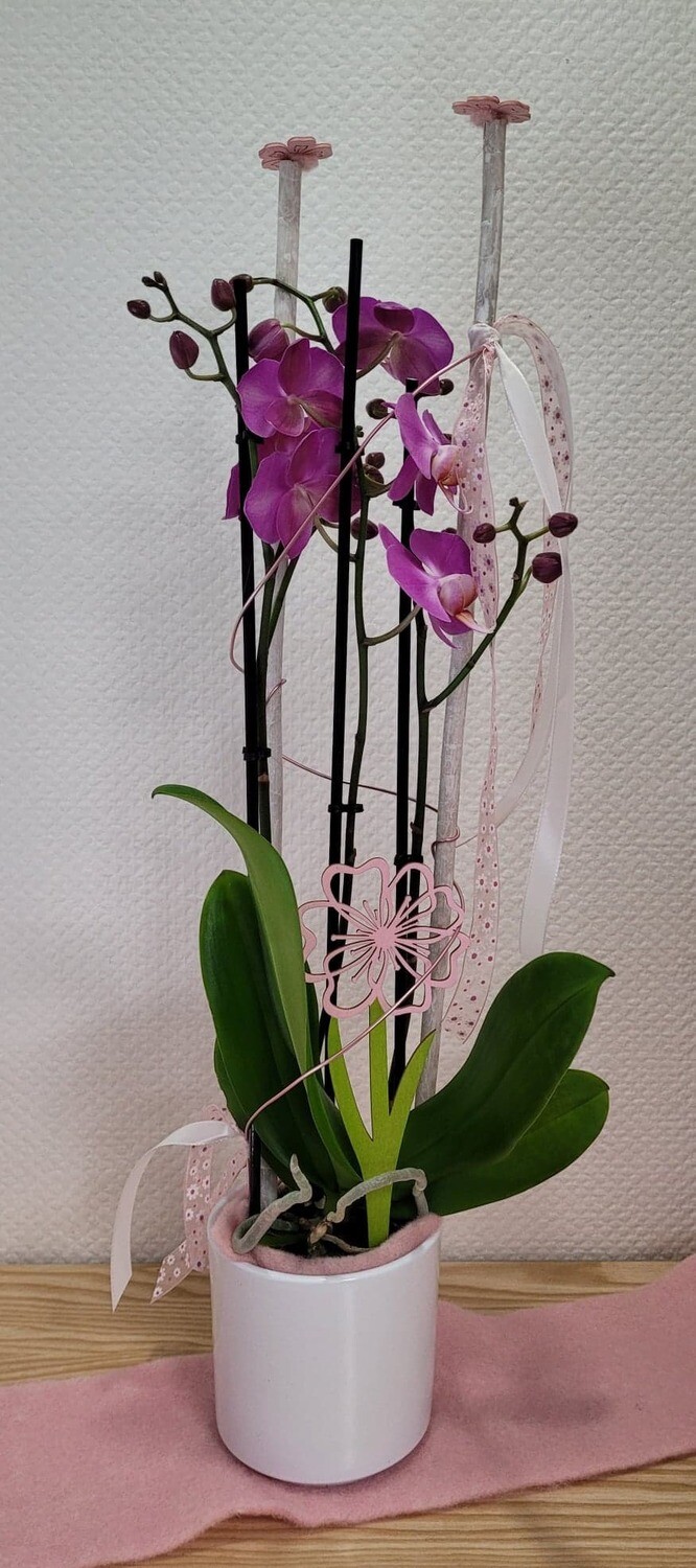 Orchidée violette décorée