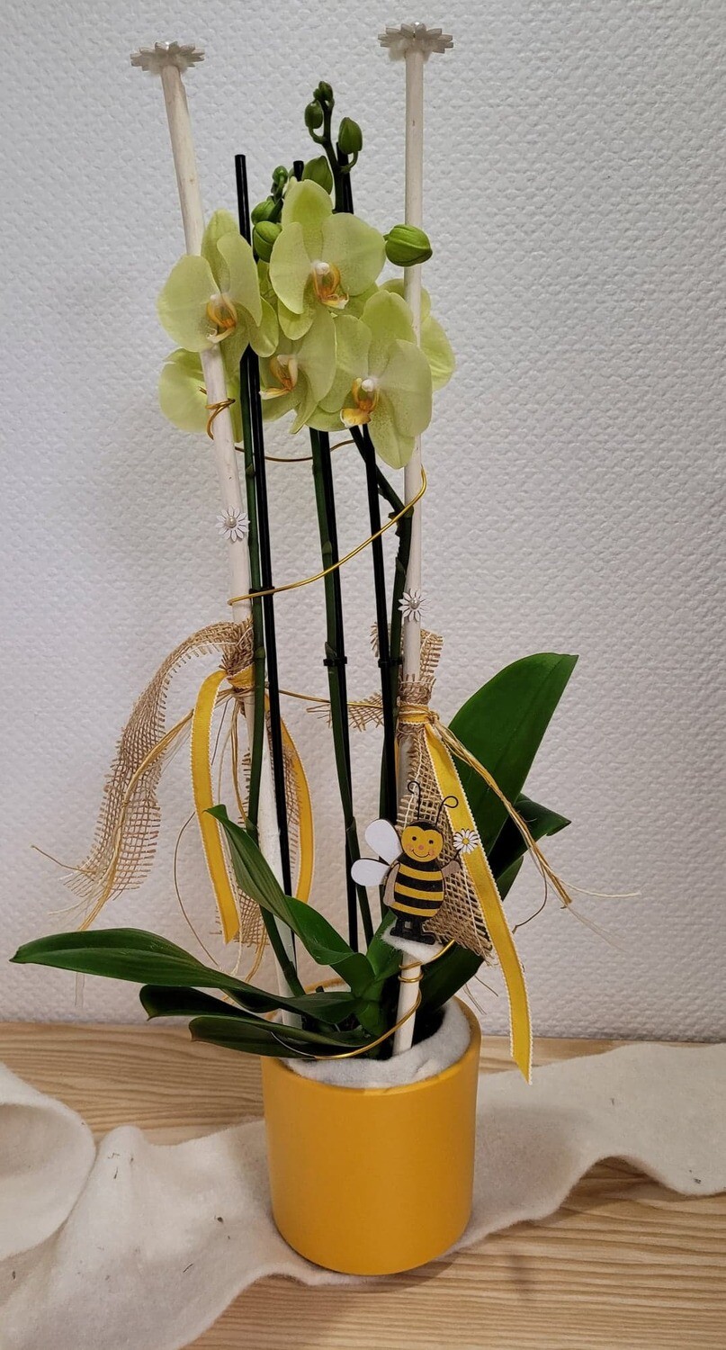 Orchidée jaune décorée