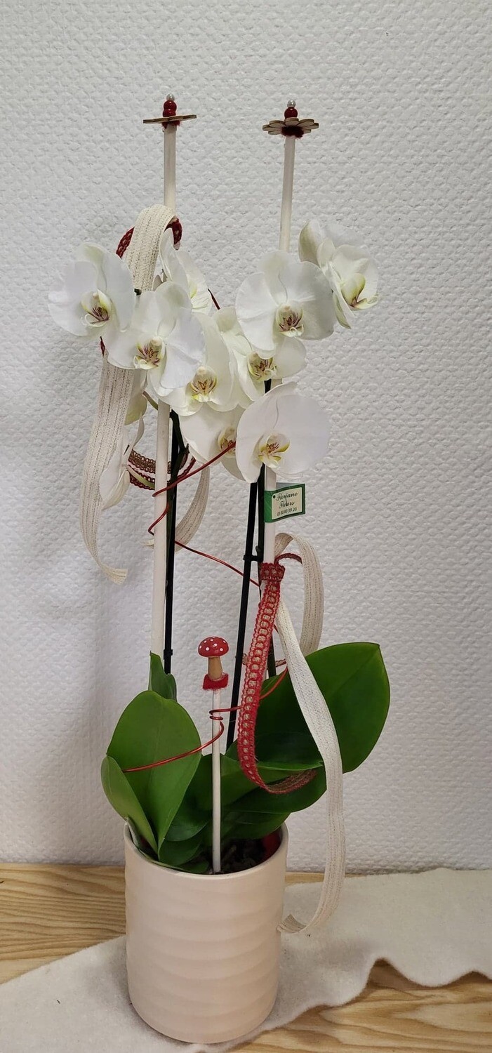 Orchidée blanche decorée