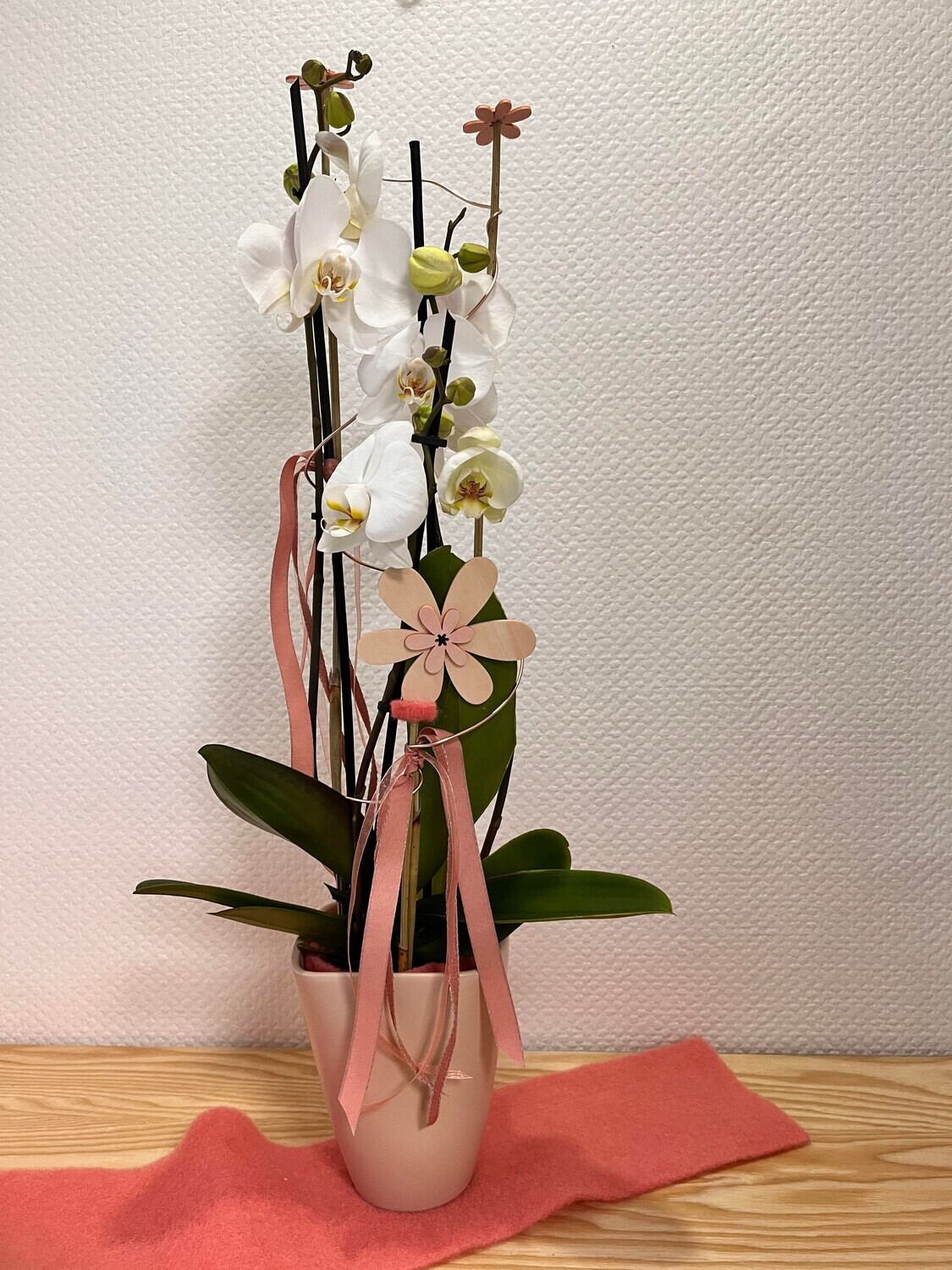 Orchidée blanche décorée