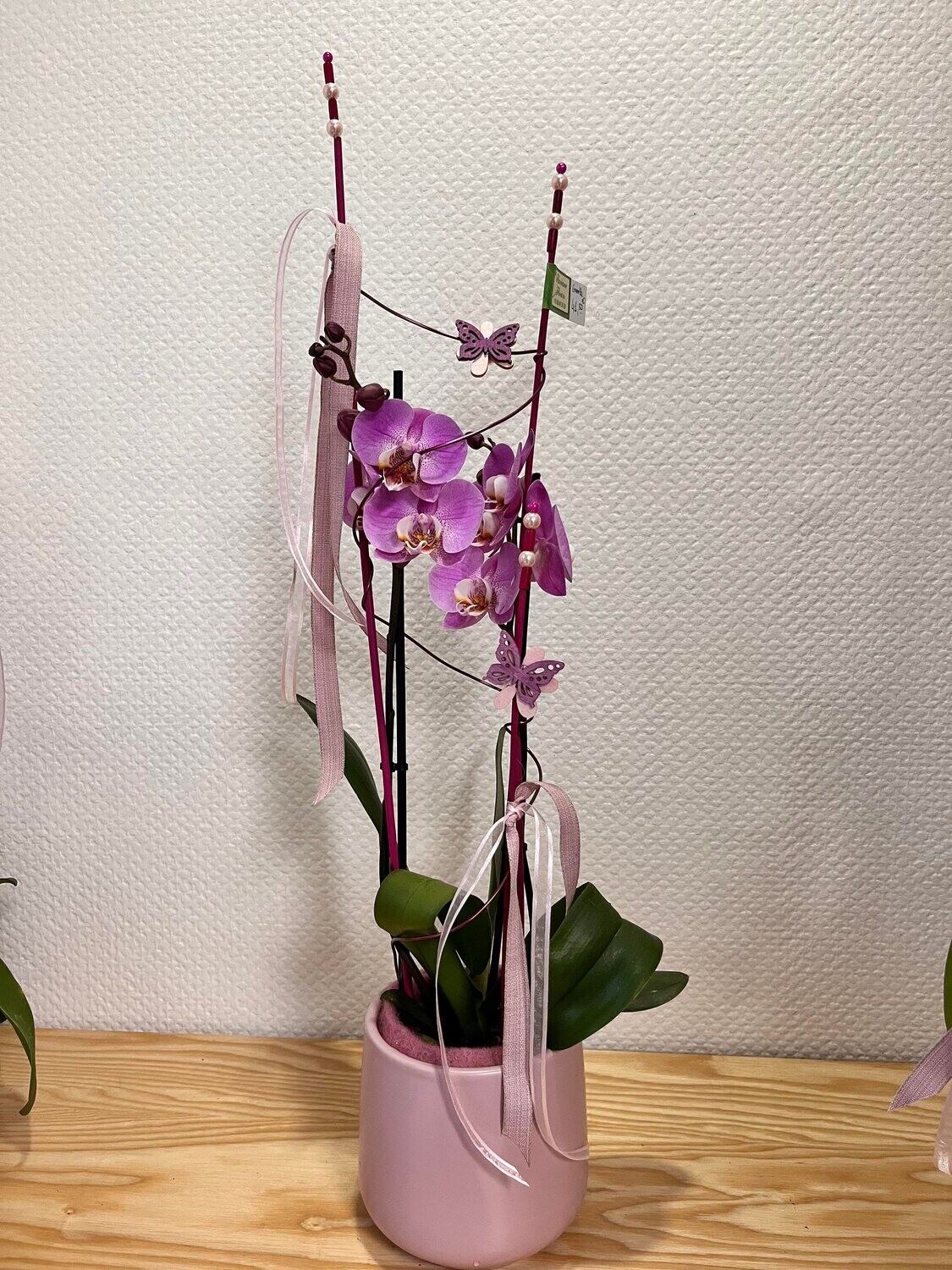 Orchidée décorée