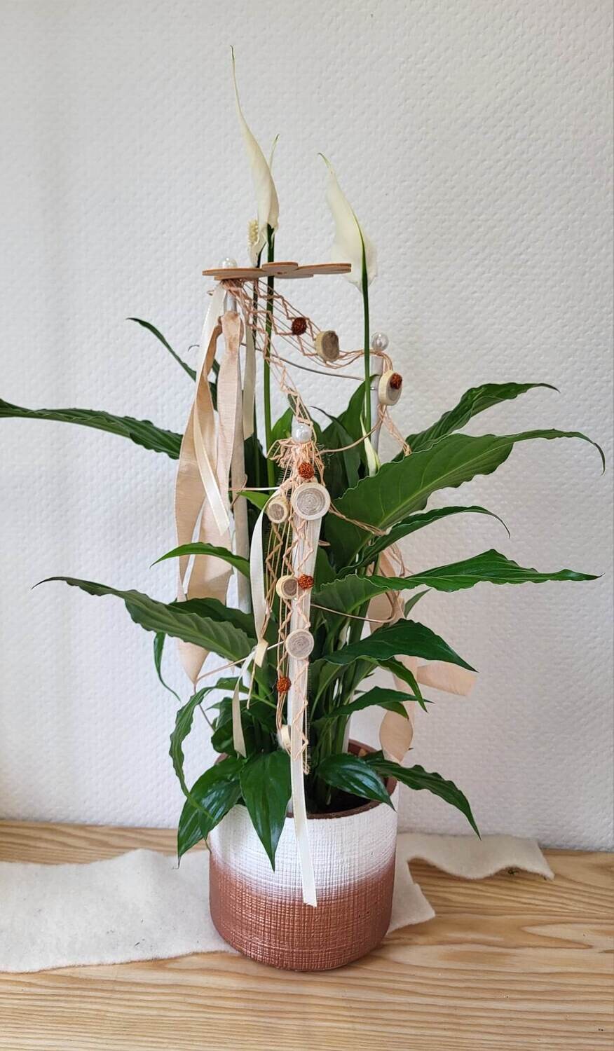 Spathiphyllum décoré