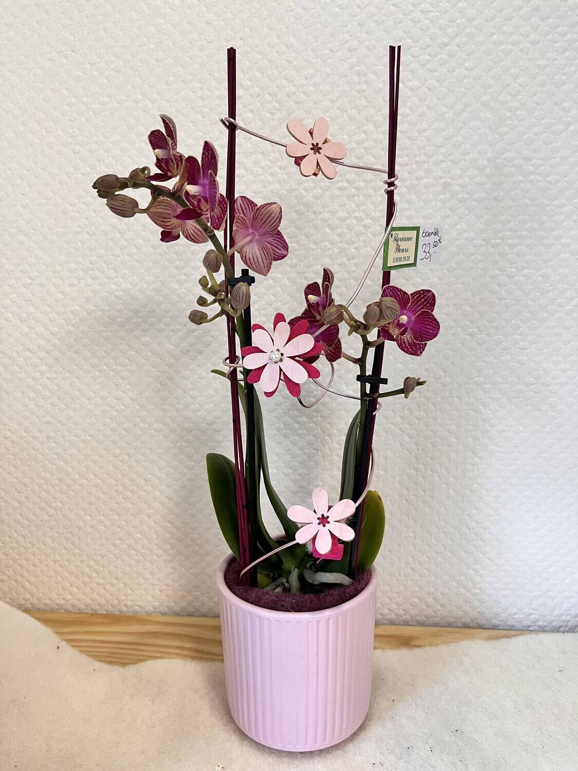 Midi orchidée décorée