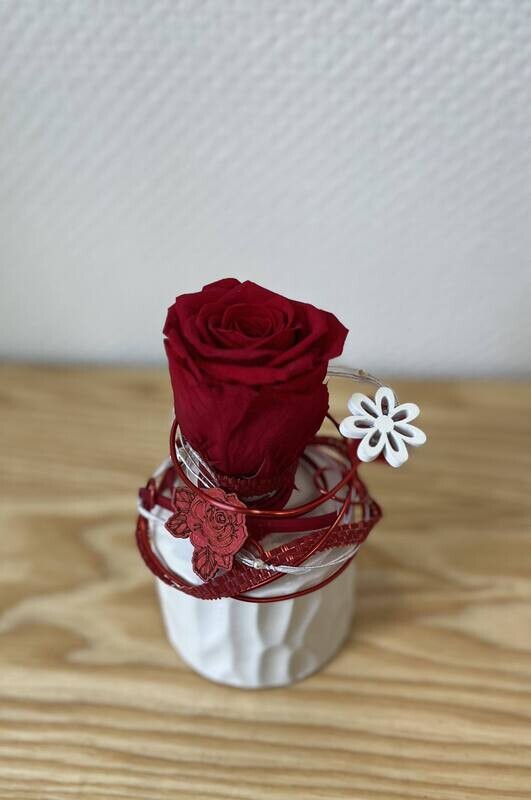 Rose éternelle rouge petit modèle