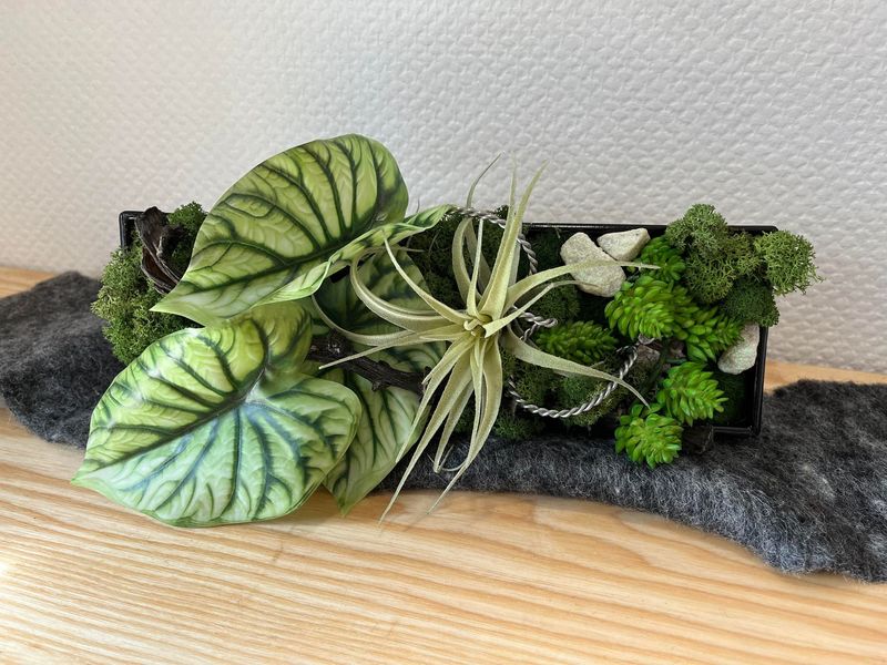 Cadre végétal de plantes artificielles et stabilisées