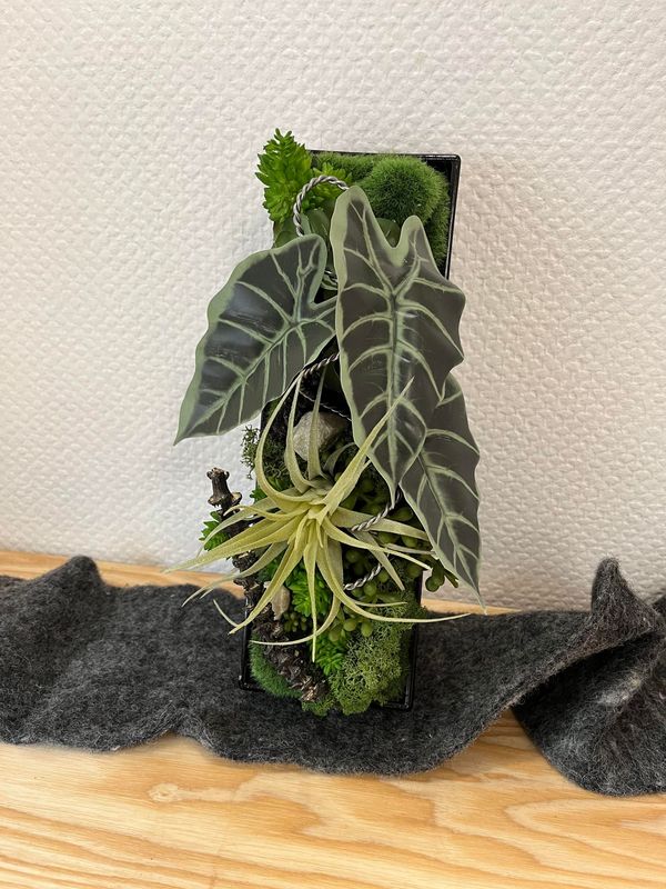 Cadre végétales à poser en plantes artificielles et stabilisées