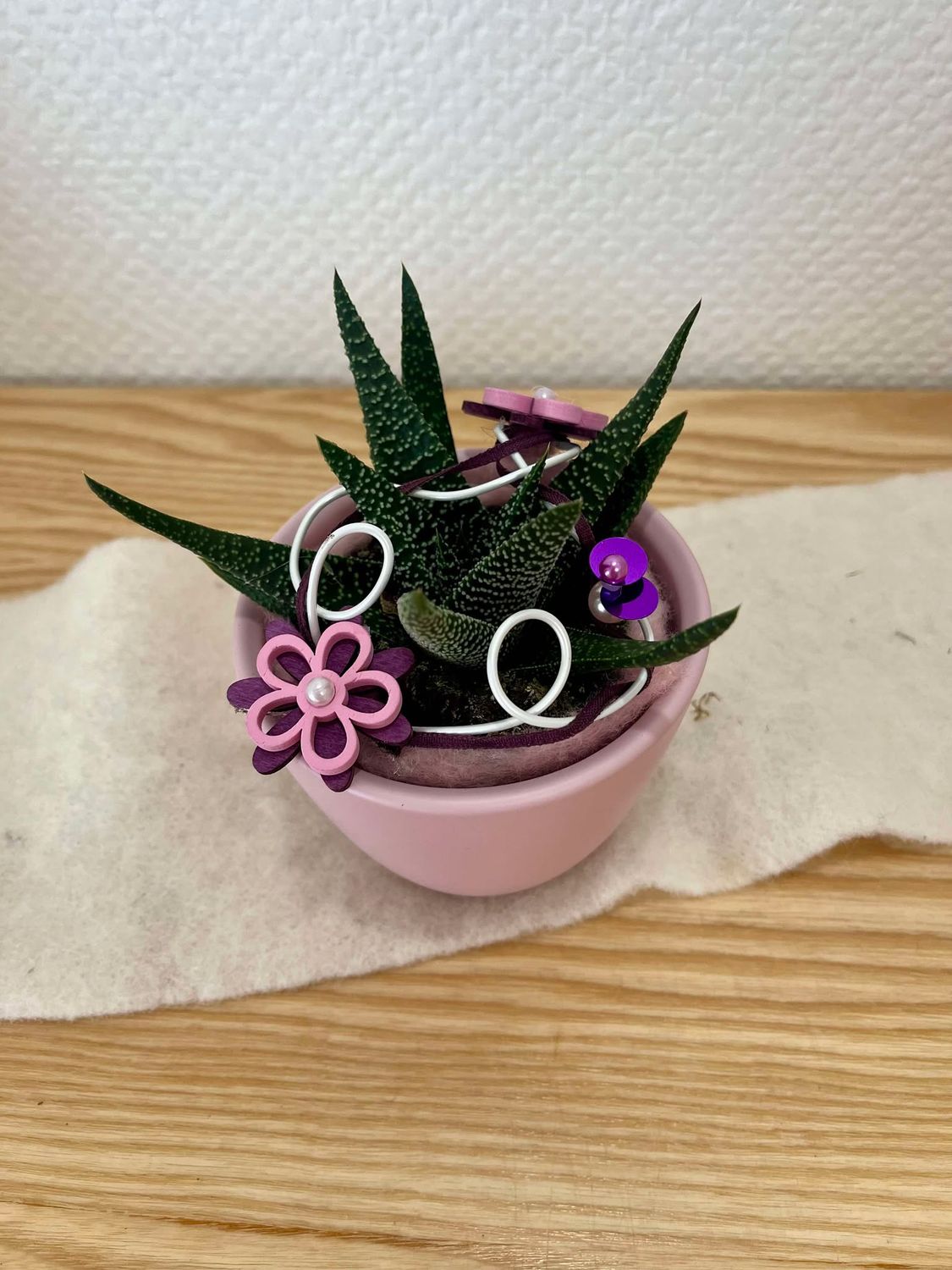 Aloe décoré