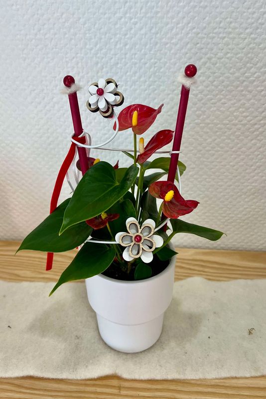 Midi anthurium rouge décoré