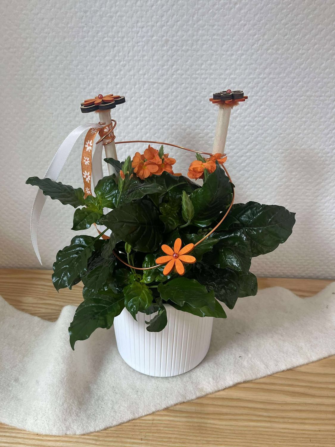 Crossandra décoré