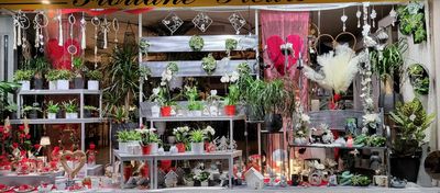 Vitrine Fête des Mamans