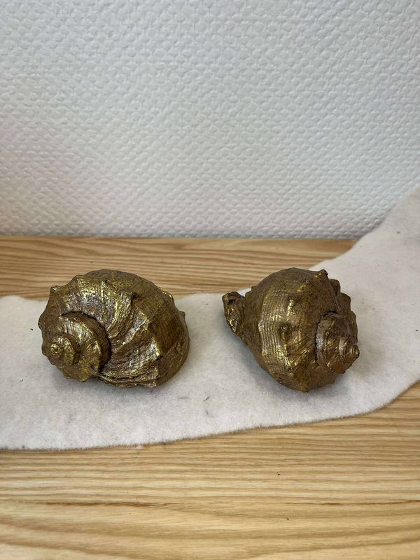 Coquillage à poser