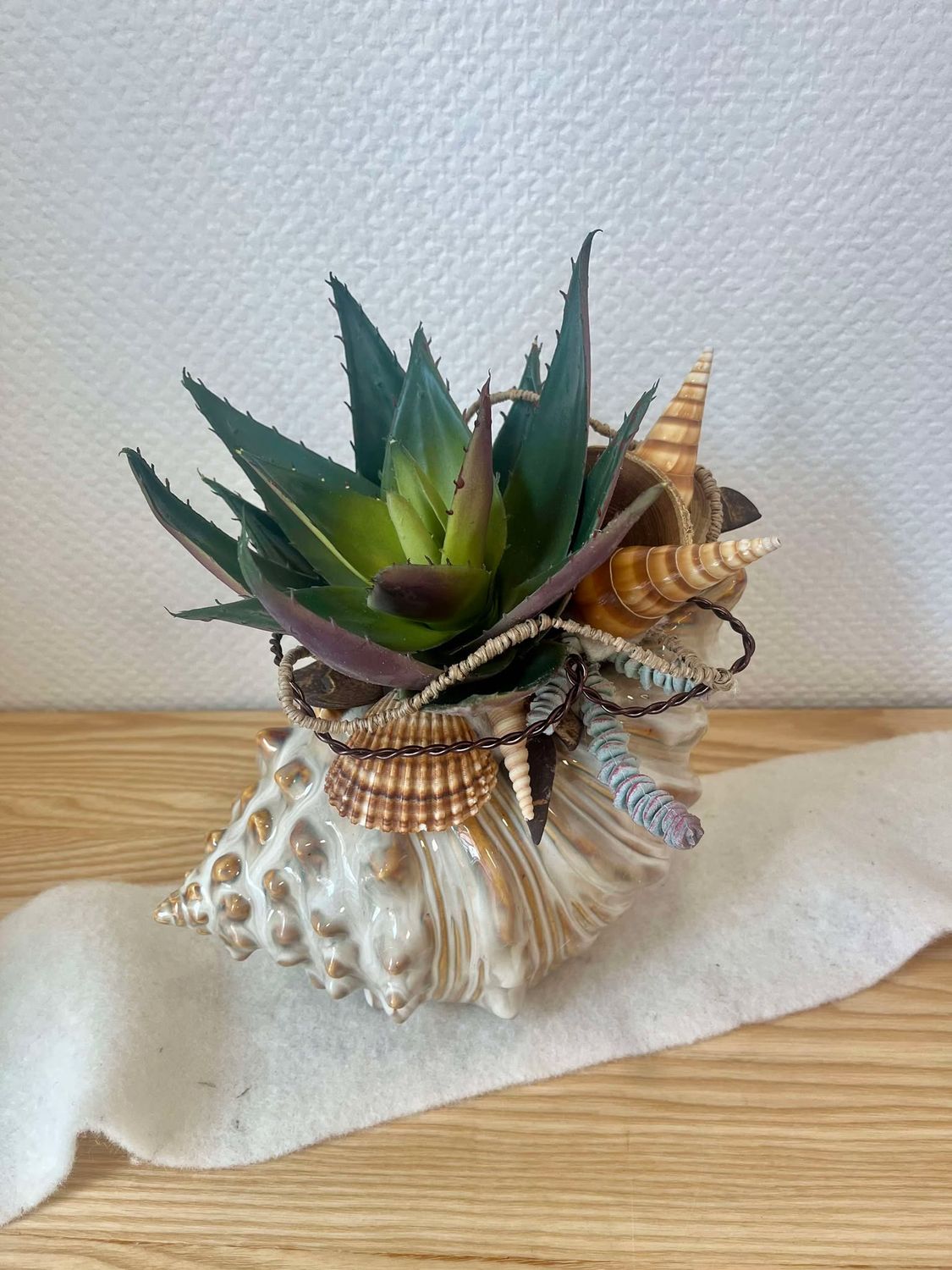 Composition sec et soie coquillage GM