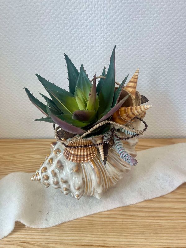 Composition sec et soie coquillage GM