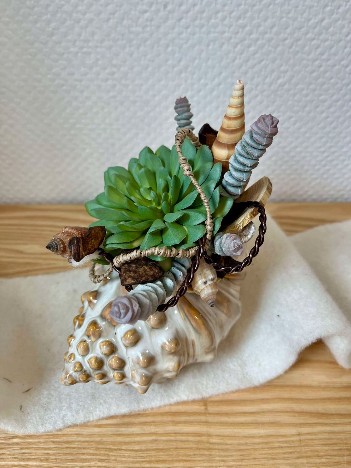 Composition sec et soie coquillage PM