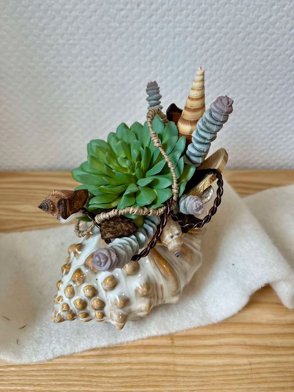 Composition sec et soie coquillage PM