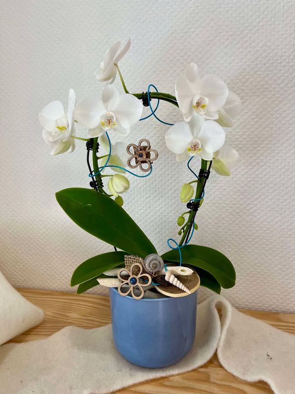 Orchidée blanche décorée