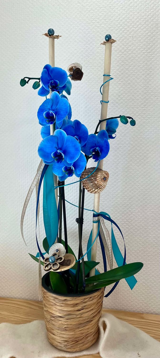 Orchidée bleue décorée