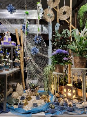 Vitrine été thème mer