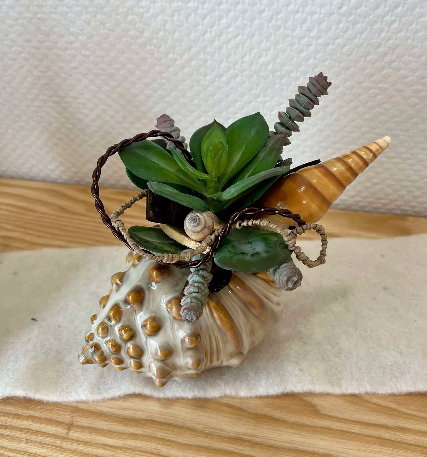 Composition sec et soie coquillage