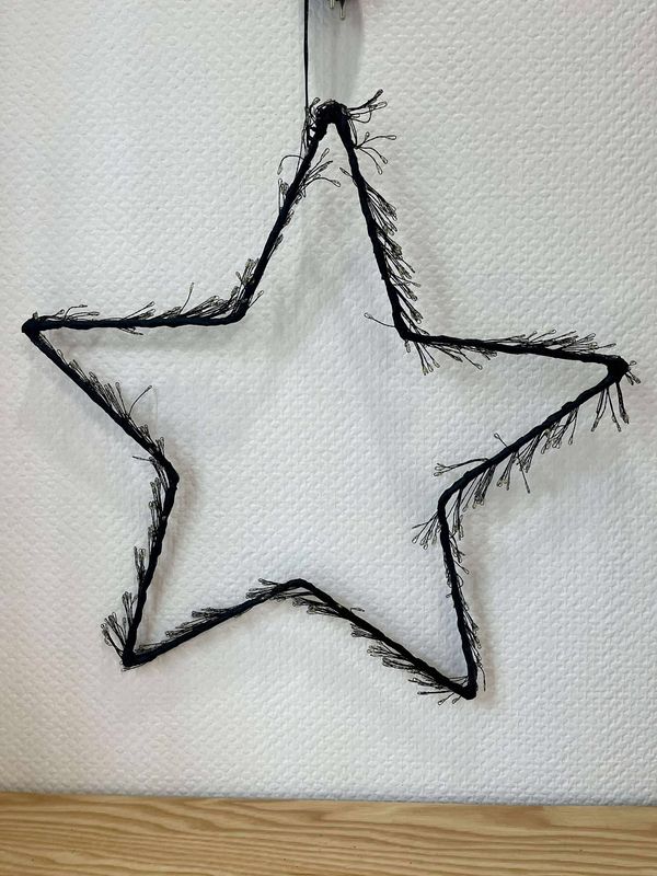 Etoile lumineuse prise électrique