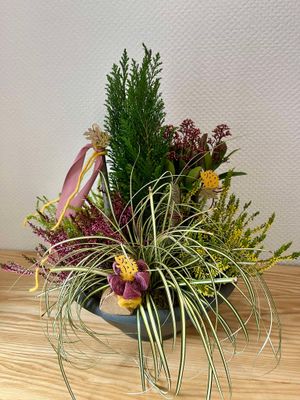 Plantes extérieur