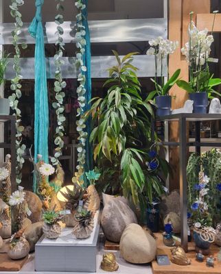 Vitrine été thème mer