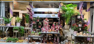 Vitrine d'automne
