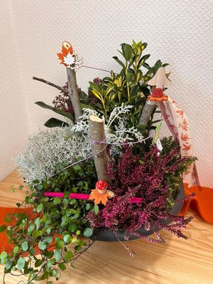 Plantes extérieures
