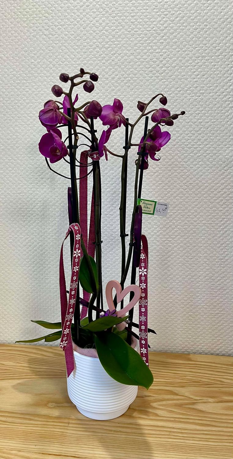 Orchidée violet foncée décorée