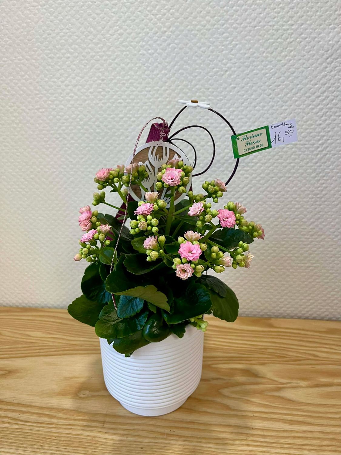 Kalenchoé rose décoré