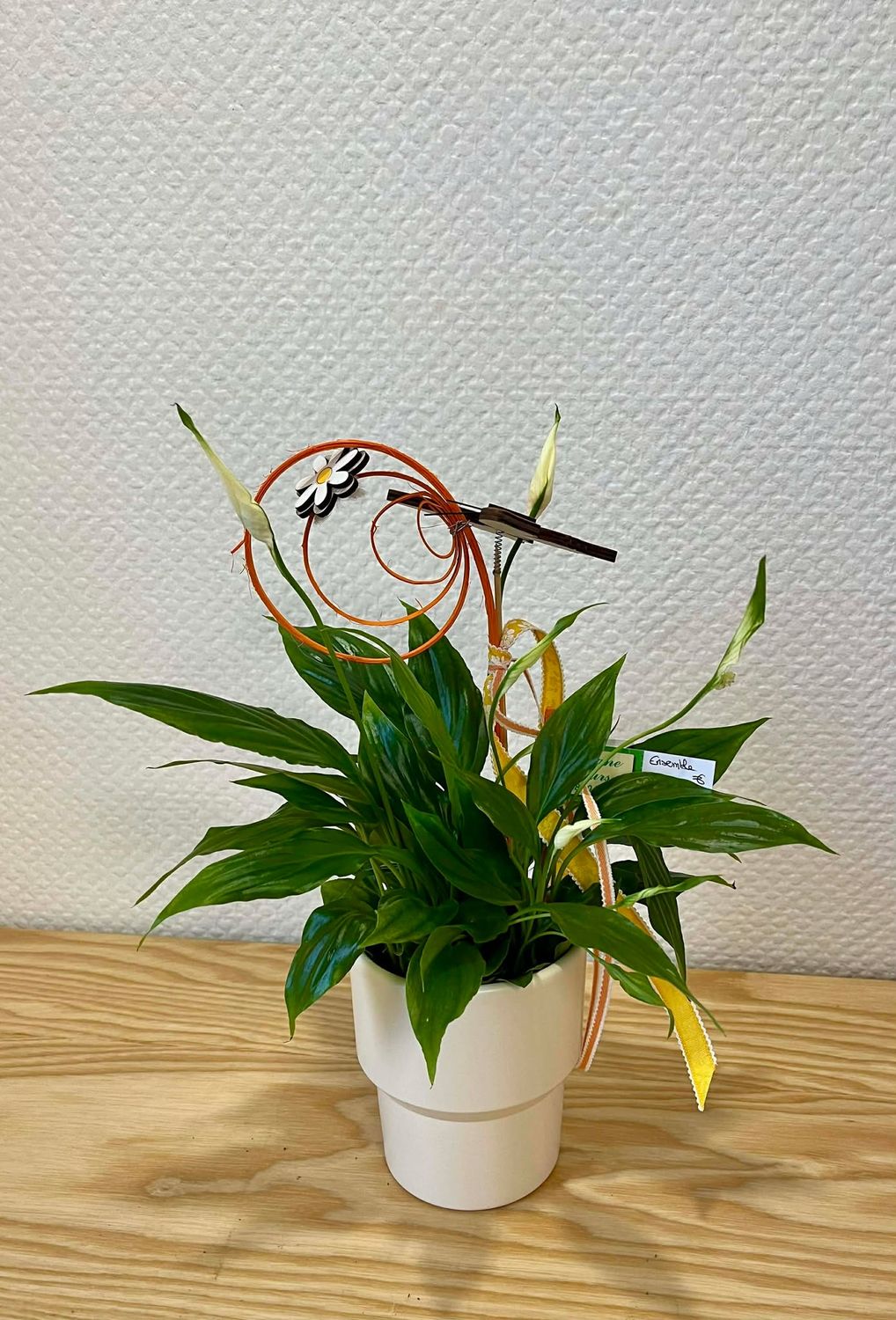 Spathiphyllum décoré