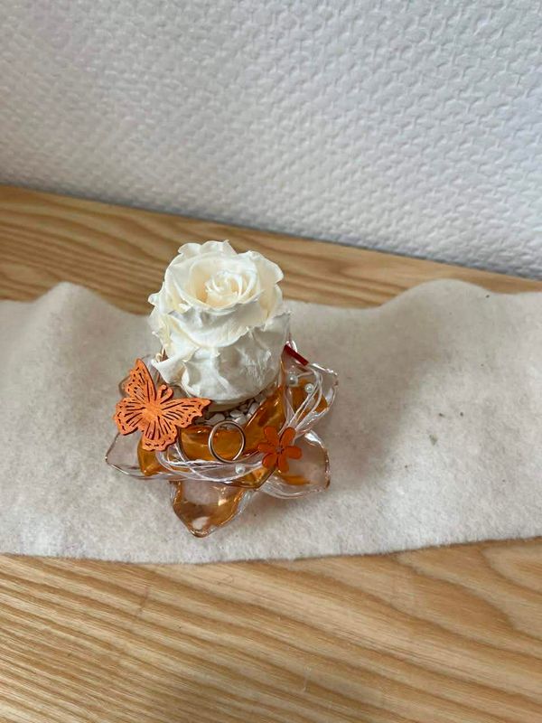 Composition rose éternelle beige/saumoné