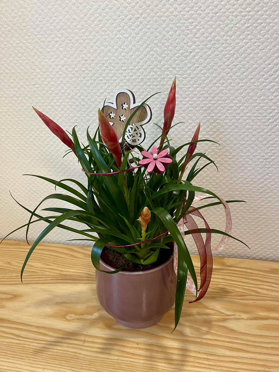 Tillandsia décoré