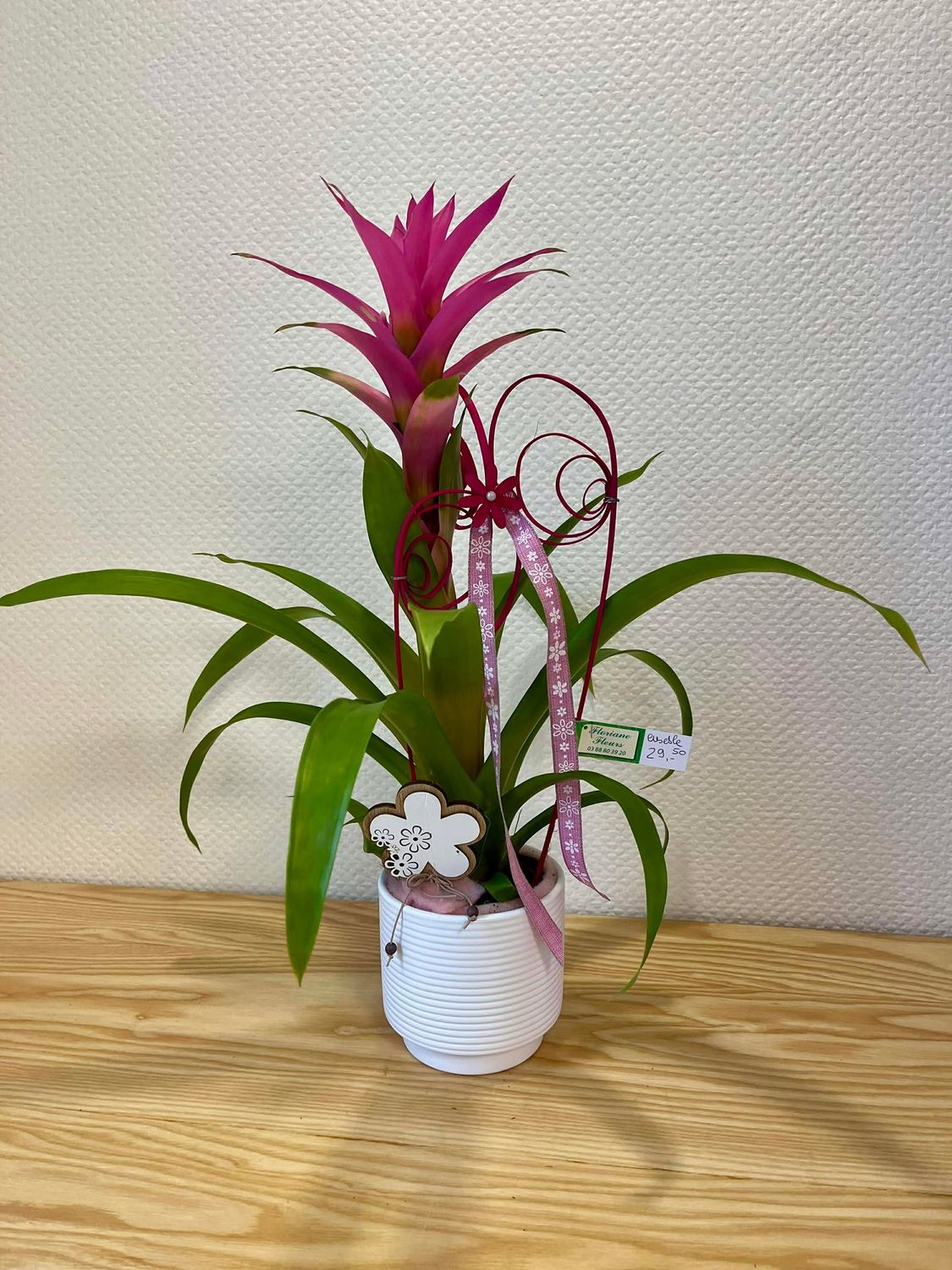 Guzmania rose décoré