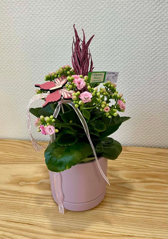 Kalenchoé rose décoré