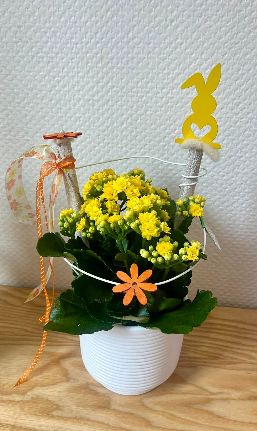 Kalenchoé jaune décoré