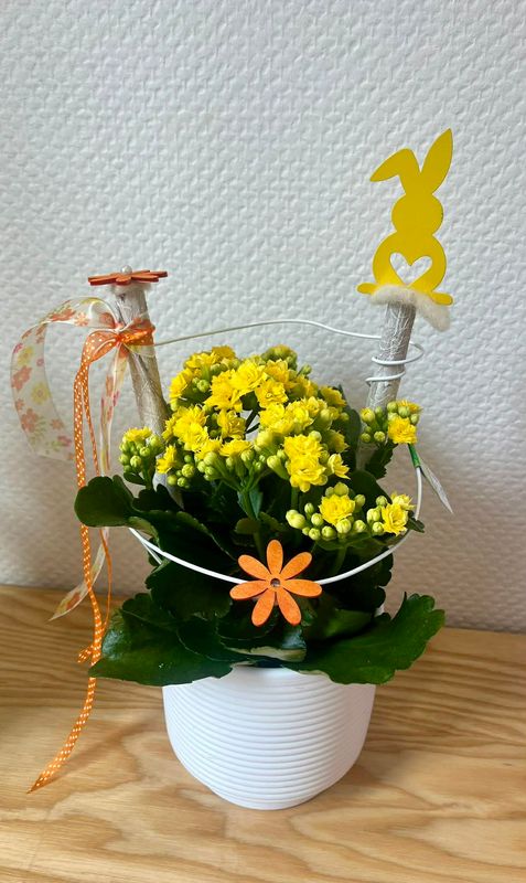 Kalenchoé jaune décoré