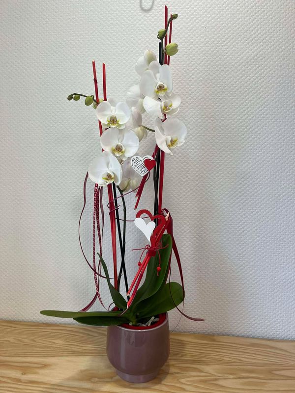 Orchidée blanche décorée cœurs