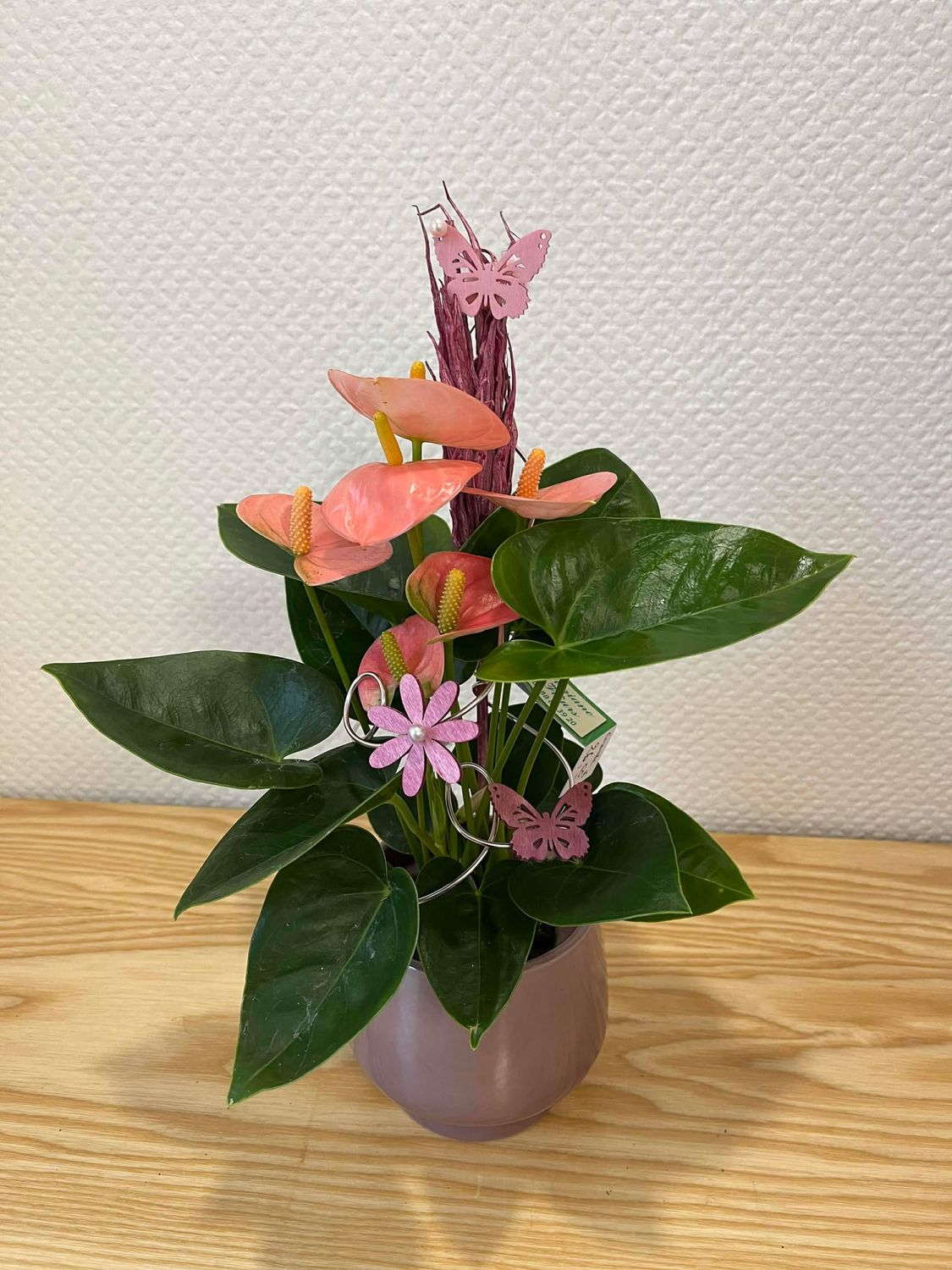 Anthurium rose décoré
