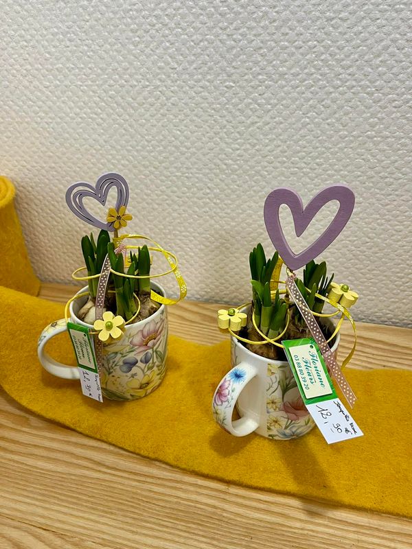 Jonquille dans une tasse décorée