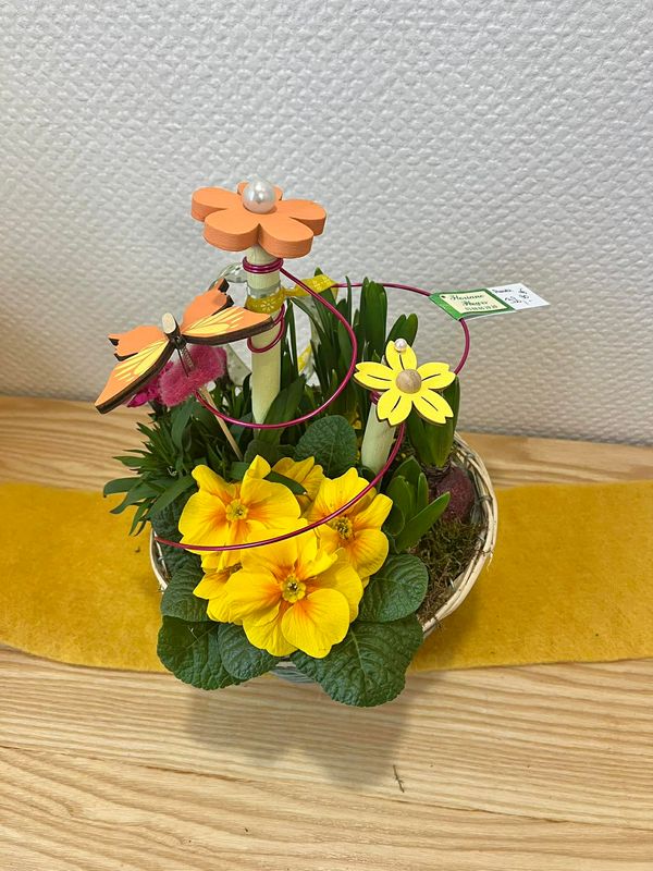 Panier de plantes printanières tons jaune