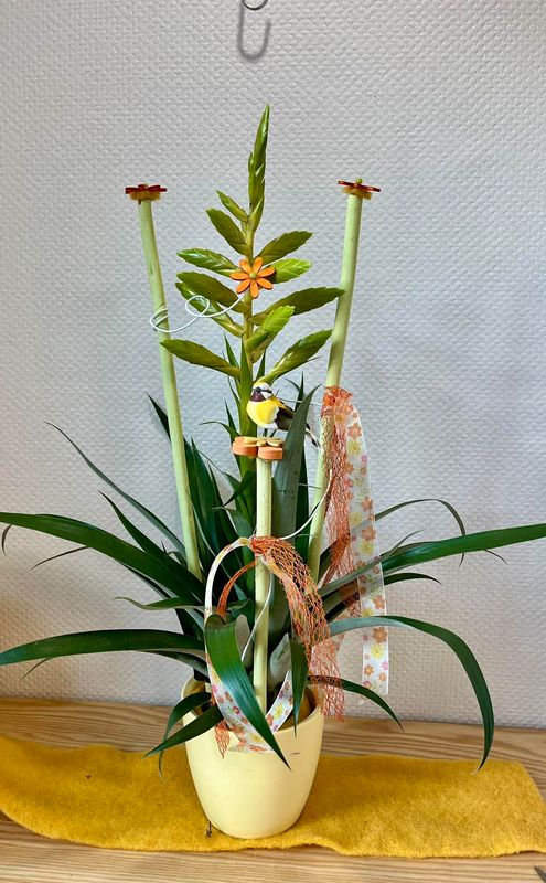 Broméliacée décorée avec oiseau