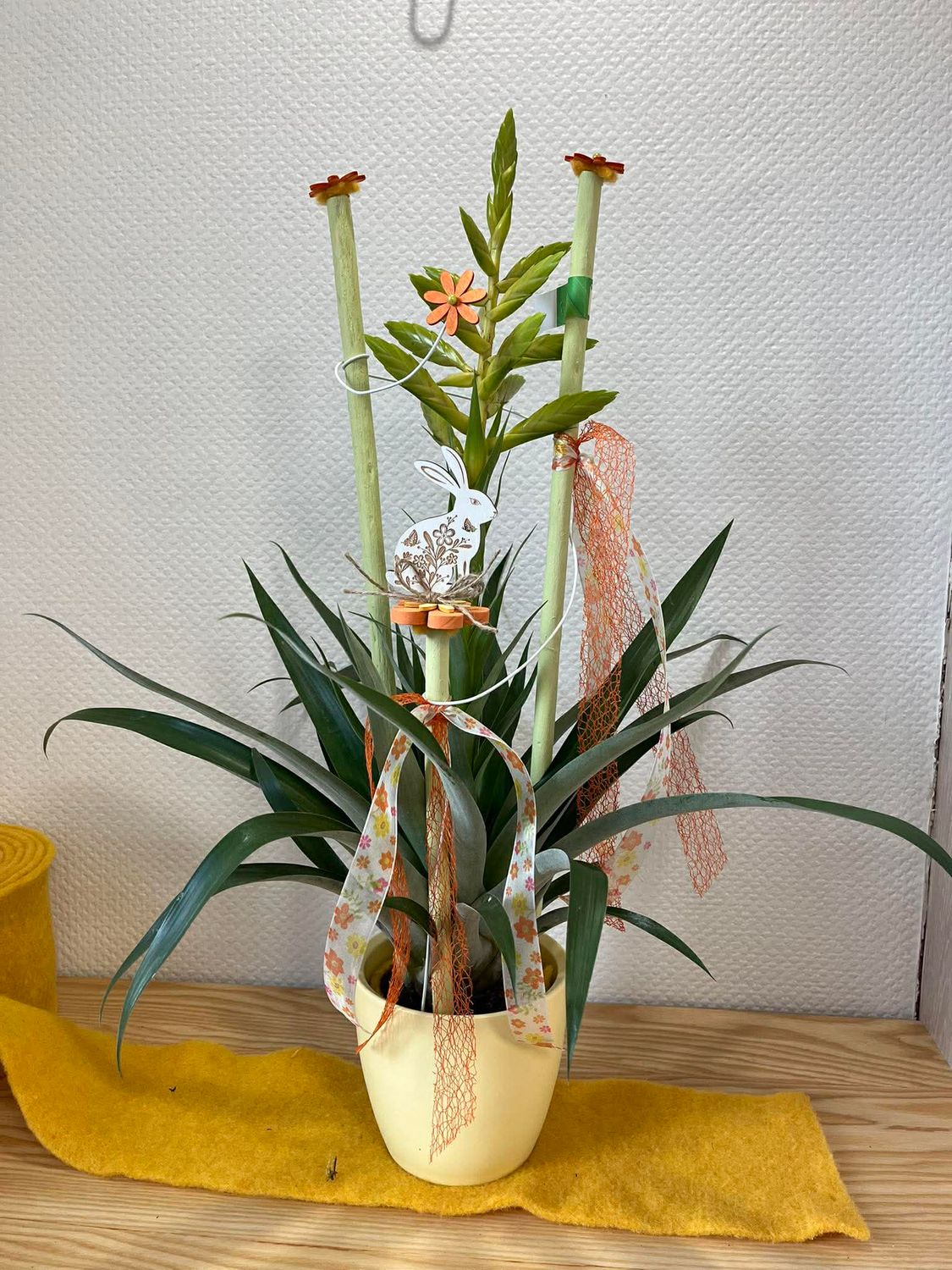 Broméliacée décorée avec lapin