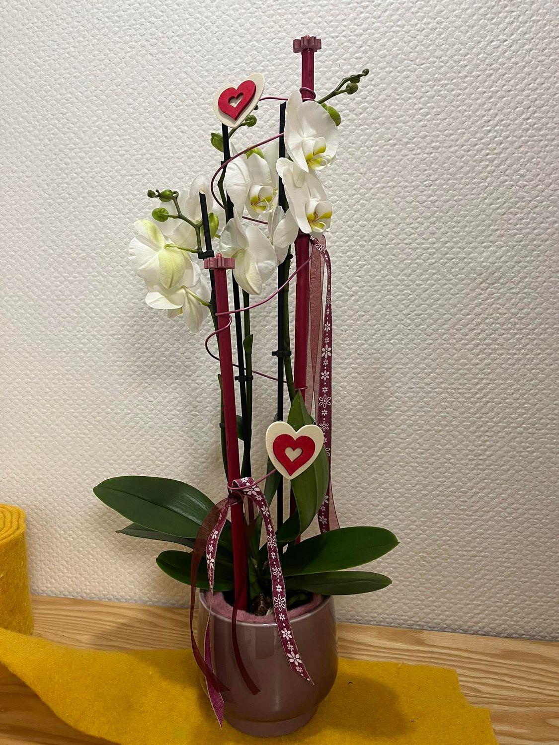 Orchidée blanche décorée